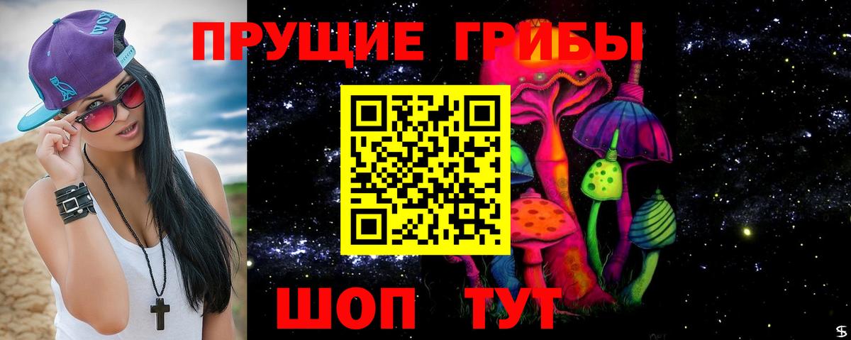Псилоцибиновые грибы Psilocybine cubensis Бийск