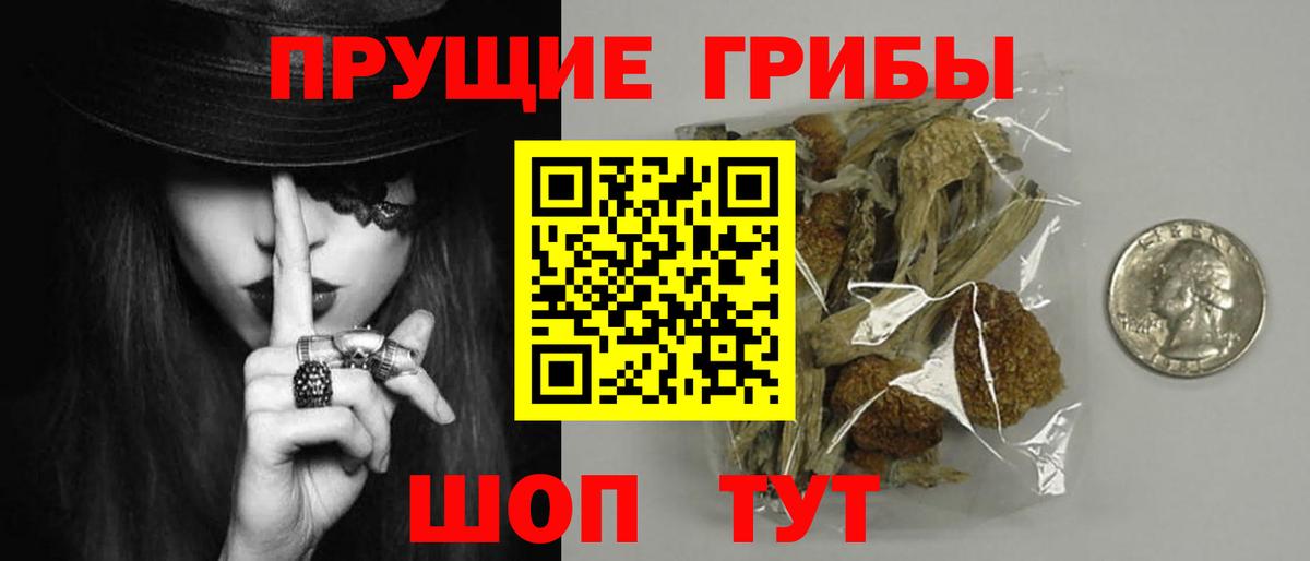 Галлюциногенные грибы MAGIC MUSHROOMS  Псилоцибиновые грибы ЛСД  как найти закладки  Вход с VPN  Бийск 
